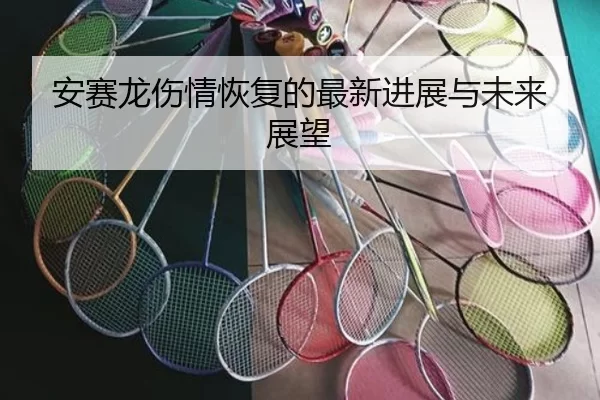 安赛龙伤情恢复的最新进展与未来展望